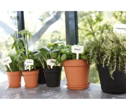 elho Green Basics Kunststoff-Untersetzer, rund, ca. Ø14/H2 cm