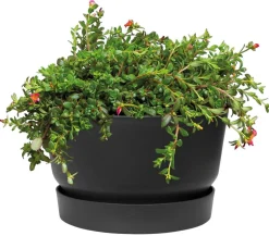 elho Kunststoff-Schale Greenville, ca. Ø33/H19,5 cm