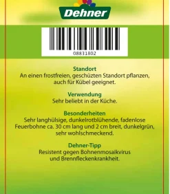 Feuerbohne