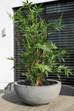 fleur ami Polystone-Pflanzschale Ego Plus, rund