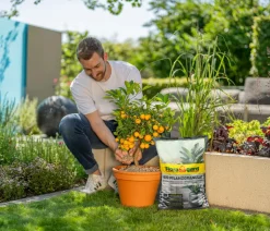 Floragard Bio Pflanzgranulat