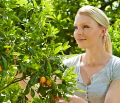 Floragard Zitrus- und Mediterranpflanzenerde