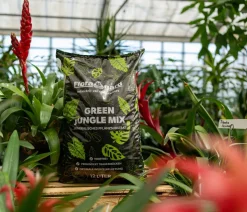 Floragard Green Jungle Mix