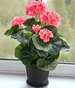 Flower Manufaktur Kunstpflanze Geranie, ca. H33 cm