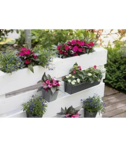 Geli Kunststoff-Pflanzkasten Easy, rechteckig, ca. B37/H9,5/T10 cm