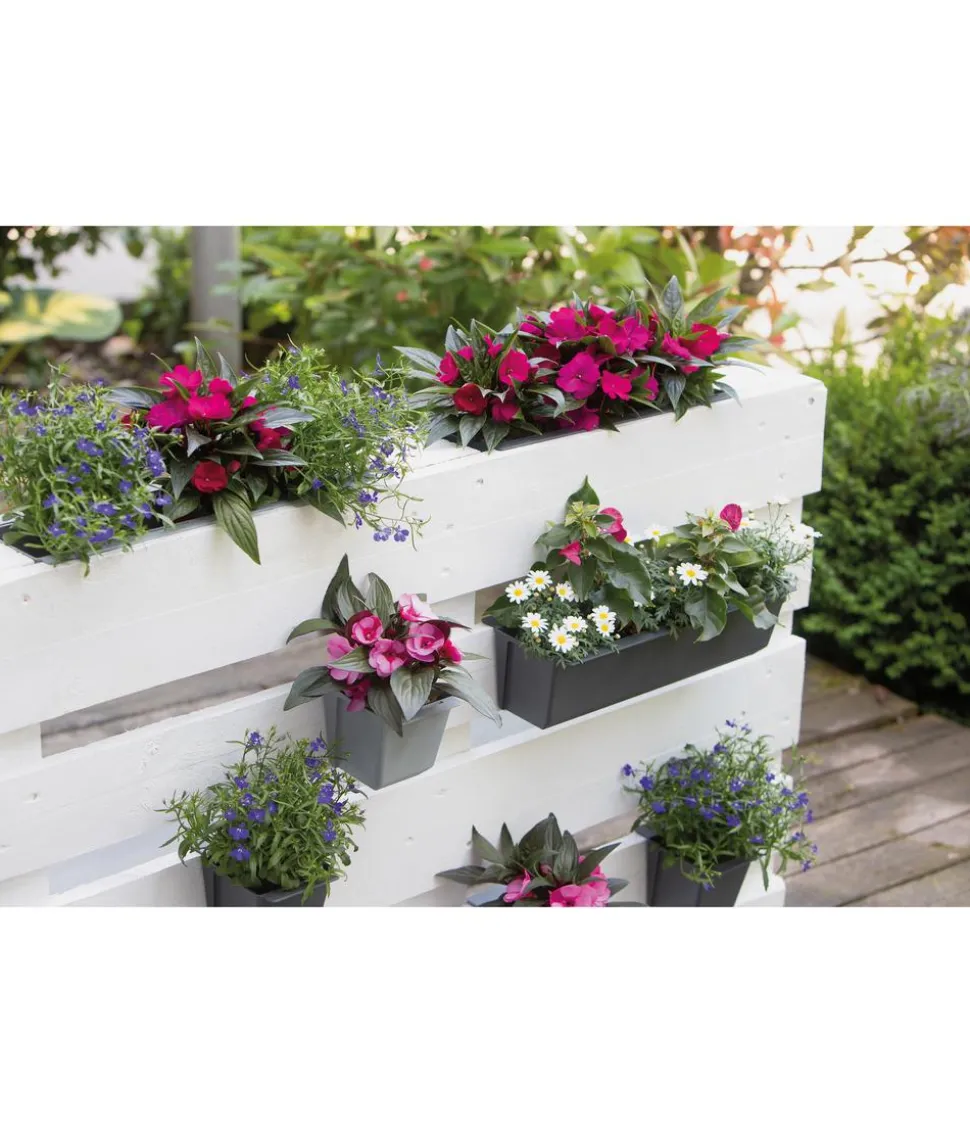 Geli Kunststoff-Pflanzkasten Easy, rechteckig, ca. B37/H9,5/T10 cm