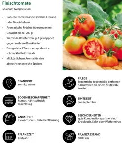 Gemüse-Set Tomatengenuss, 6-teilig