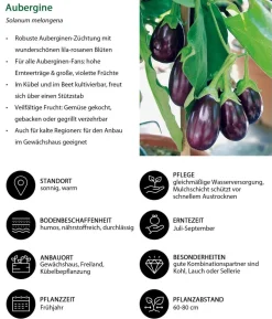 Gemüse-Set Grillparty, 6-teilig