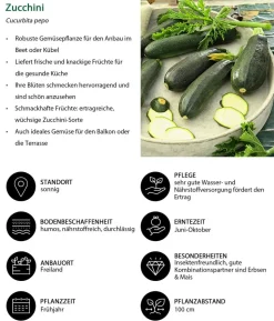 Gemüse-Set Großer Gemüsegarten, 6-teilig