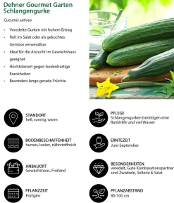 Gemüse-Set Kleiner Gemüsegarten, 3-teilig