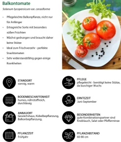 Gemüse-Set Snackgemüse für den Balkon, 6-teilig