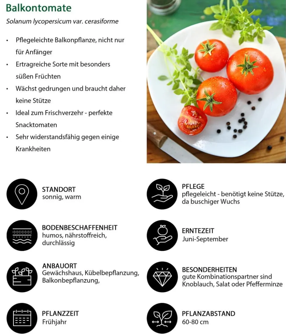 Gemüse-Set Snackgemüse für den Balkon, 6-teilig