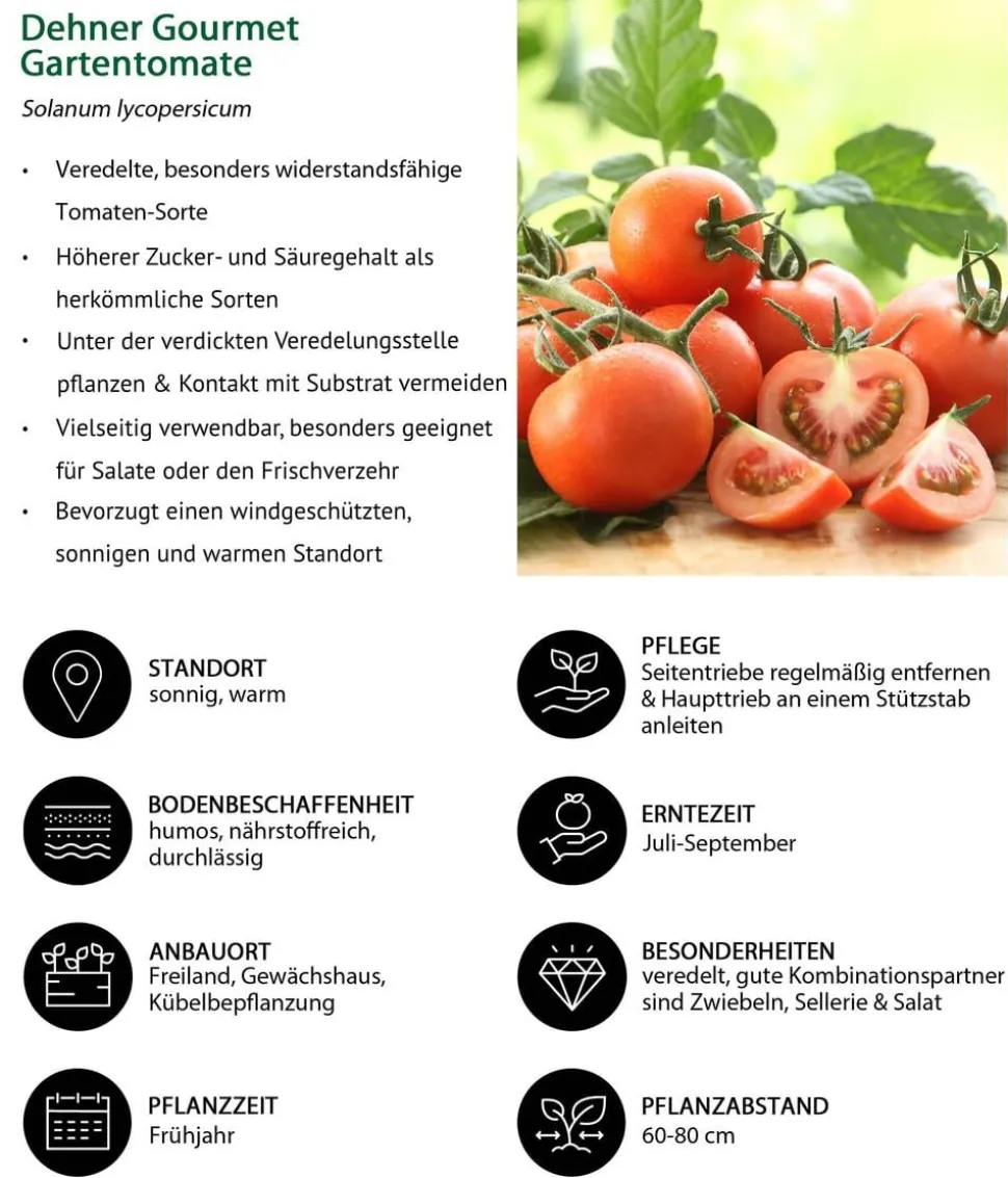Gemüse-Set Tomatensalat, 3-teilig