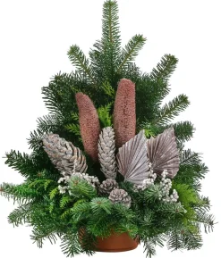 Grabgesteck aus Nordmann-Tanne, braun, ca. B60/H55/T35 cm