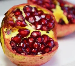 Granatapfel
