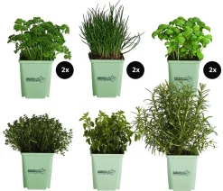 GREENBAR® Kräuter-Set Vielfalt, 9-teilig