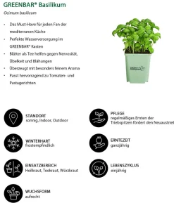 GREENBAR® Basilikum