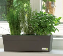 GREENBAR® Kräuterkasten, ca. B48/H15,5/T16 cm