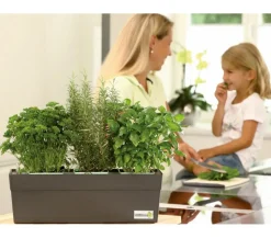 GREENBAR® Kräuterkasten, ca. B48/H15,5/T16 cm