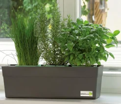 GREENBAR® Kräuter-Set Französische Küche, 6-teilig