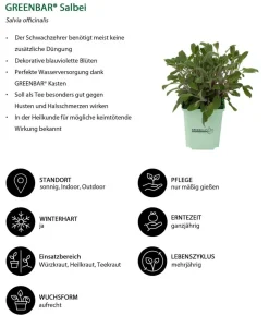 GREENBAR® Kräuter-Set Französische Küche, 6-teilig