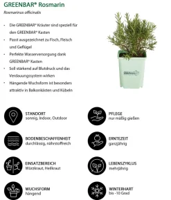 GREENBAR® Rosmarin, hängend