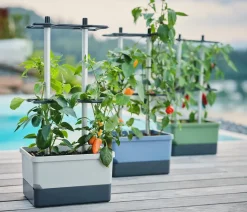 Gusta Garden Chili-Pflanztopf Charly Chili, ca. B35/H69/T28 cm