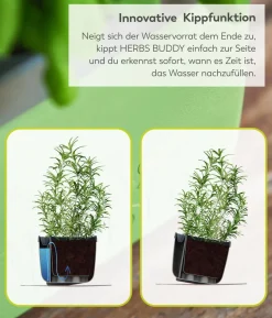 Gusta Garden Kräutertopf Herbs Buddy, ca. B16/H14/T14 cm, 3er-Set