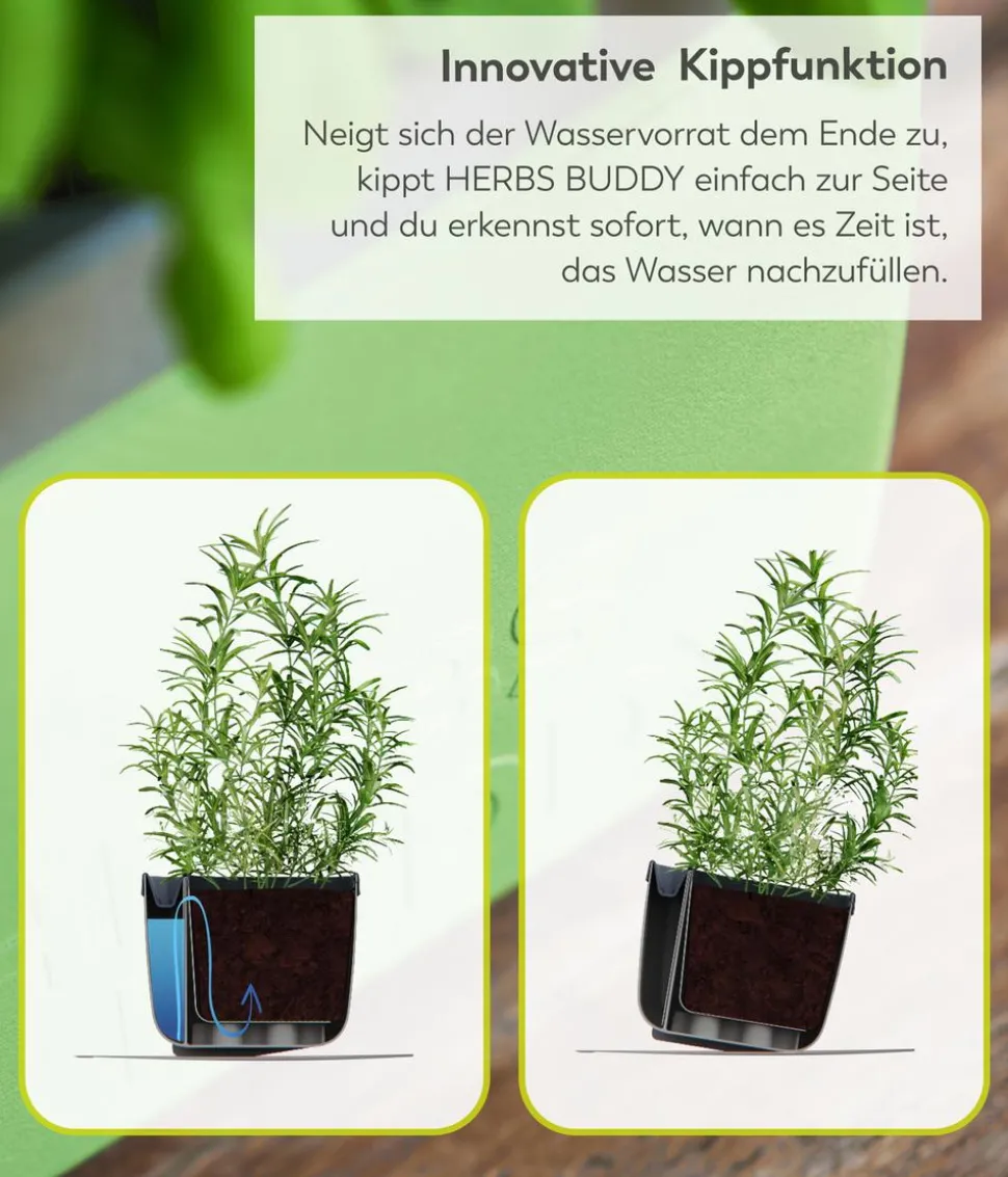 Gusta Garden Kräutertopf Herbs Buddy, ca. B16/H14/T14 cm, 3er-Set