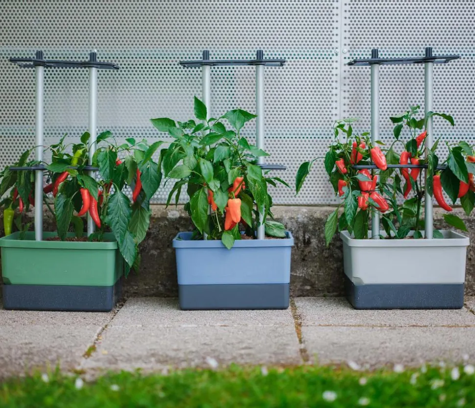 Gusta Garden Chili-Pflanztopf Charly Chili, ca. B35/H69/T28 cm