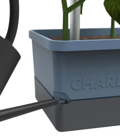 Gusta Garden Chili-Pflanztopf Charly Chili, ca. B35/H69/T28 cm