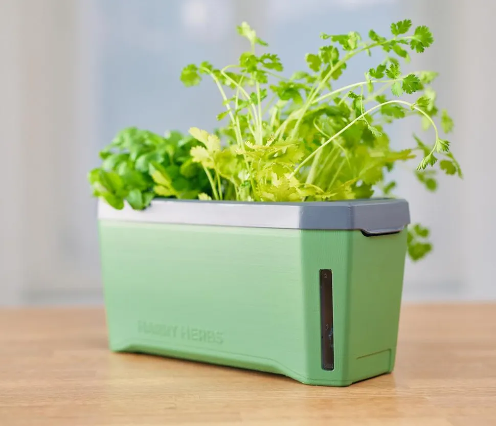 Gusta Garden Kräutertopf Harry Herbs mit Anzuchthaube, ca. B36/H25/T15 cm