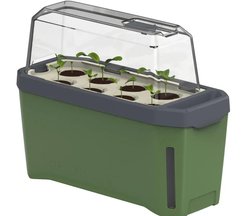 Gusta Garden Kräutertopf Harry Herbs mit Anzuchthaube, ca. B36/H25/T15 cm