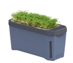 Gusta Garden Kräutertopf Harry Herbs, ca. B36/H16/T15 cm