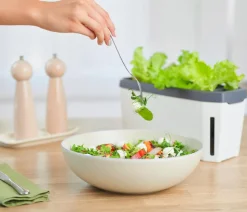 Gusta Garden Kräutertopf Harry Herbs mit Anzuchthaube, ca. B36/H25/T15 cm