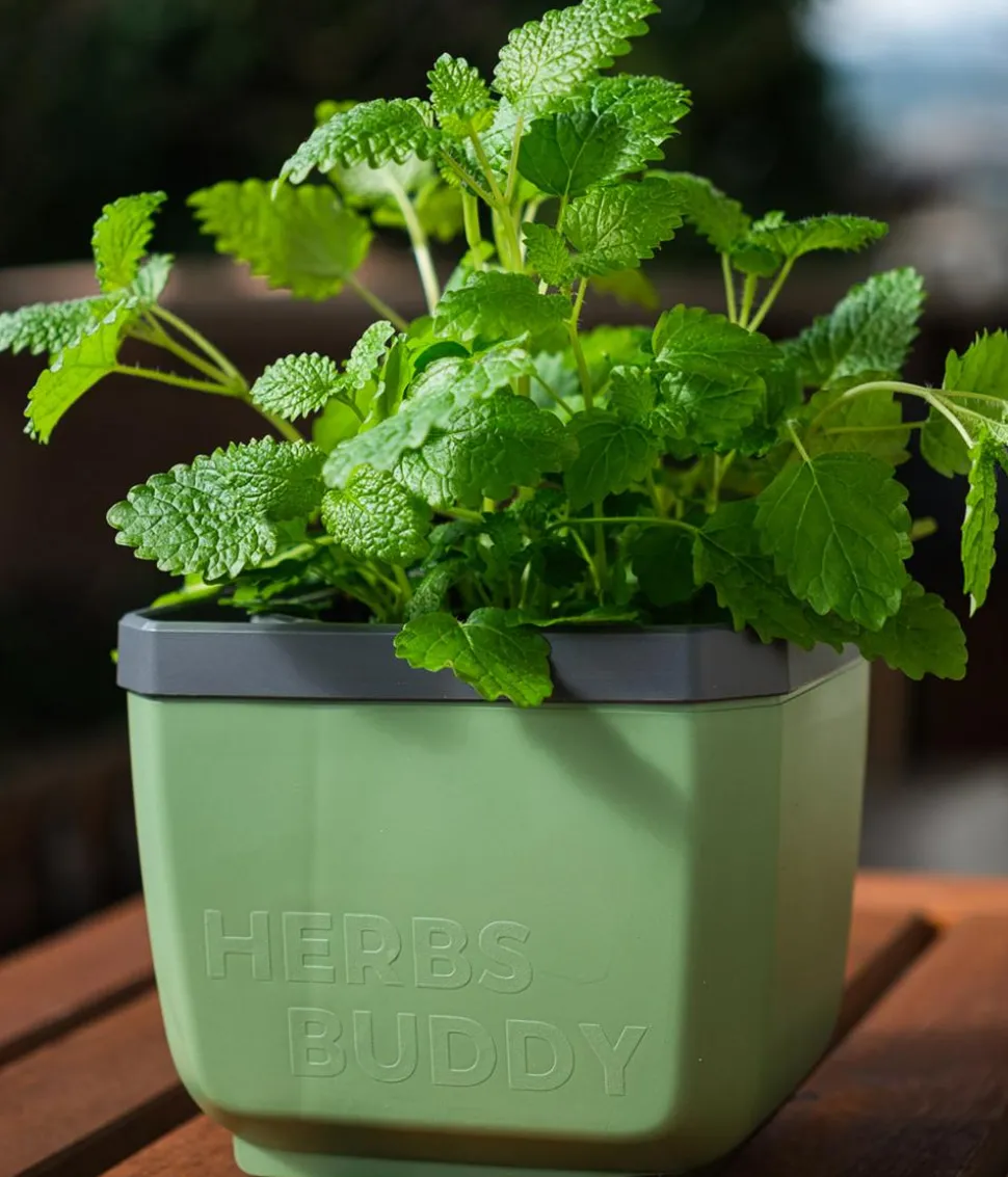 Gusta Garden Kräutertopf Herbs Buddy, ca. B16/H14/T14 cm, 3er-Set
