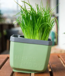 Gusta Garden Kräutertopf Herbs Buddy, ca. B16/H14/T14 cm, 3er-Set