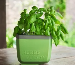 Gusta Garden Kräutertopf Herbs Buddy, ca. B16/H14/T14 cm, 3er-Set