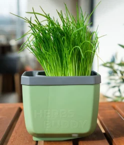 Gusta Garden Kräutertopf Herbs Buddy, ca. B16/H14/T14 cm, 3er-Set