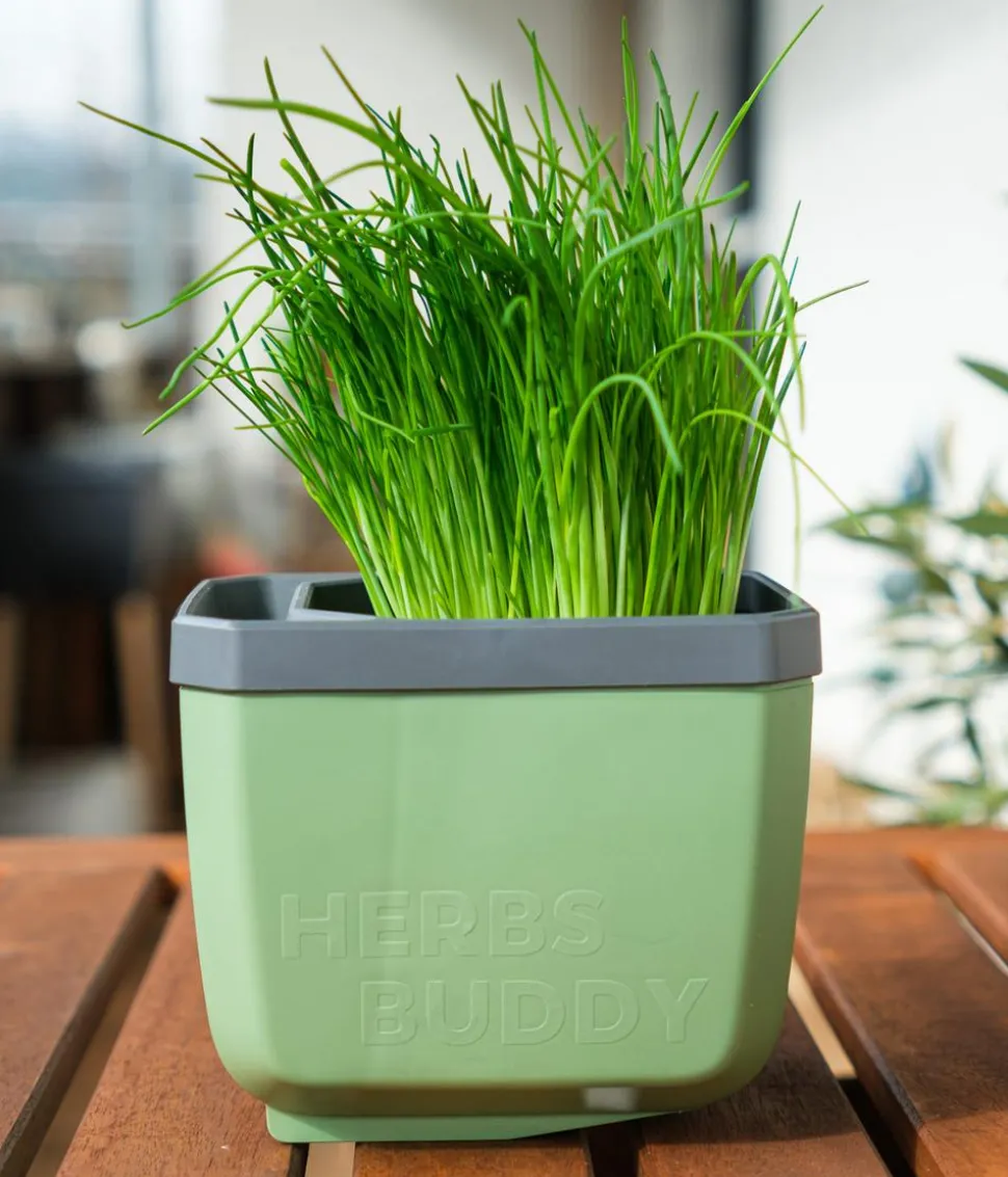Gusta Garden Kräutertopf Herbs Buddy, ca. B16/H14/T14 cm, 3er-Set