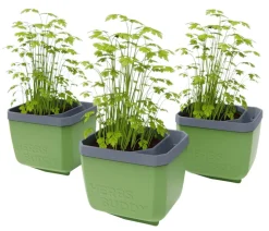 Gusta Garden Kräutertopf Herbs Buddy, ca. B16/H14/T14 cm, 3er-Set