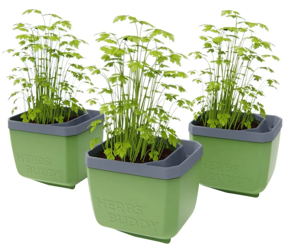 Gusta Garden Kräutertopf Herbs Buddy, ca. B16/H14/T14 cm, 3er-Set