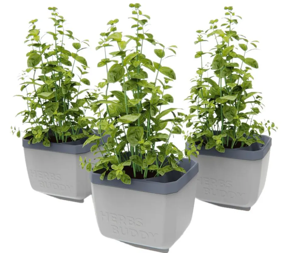 Gusta Garden Kräutertopf Herbs Buddy, ca. B16/H14/T14 cm, 3er-Set