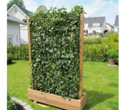 Hecke am laufenden Meter® 'Woerneri' - Efeu, ca. 180 cm