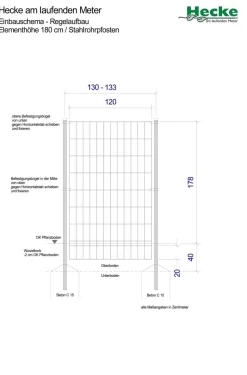 Hecke am laufenden Meter® Color - Efeu mit Clematis, ca. 180 cm