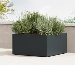 Herstera Metall-Pflanzkasten Cube Low, quadratisch, anthrazit, ca. B100/H50/T100 cm