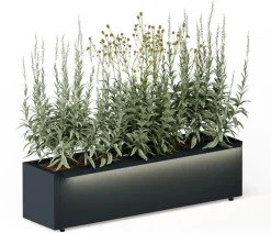 Herstera Metall-Pflanzkasten Cube Balcony LED, rechteckig, anthrazit