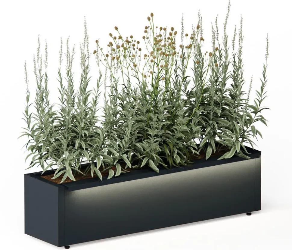 Herstera Metall-Pflanzkasten Cube Balcony LED, rechteckig, anthrazit