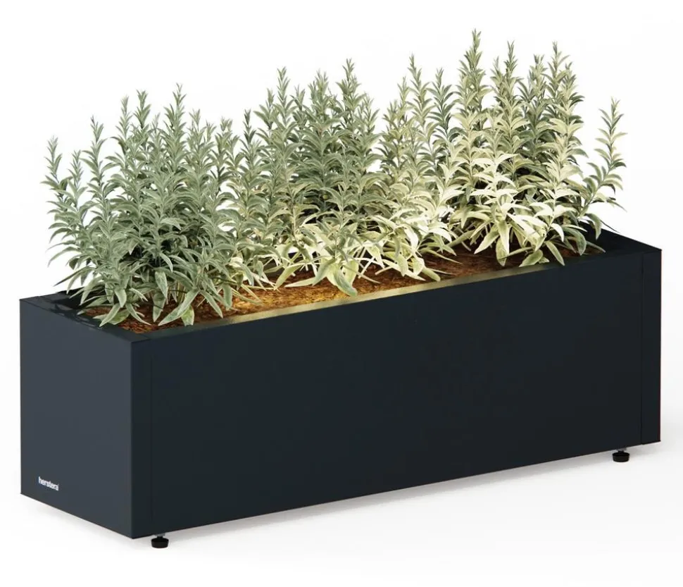 Herstera Metall-Pflanzkasten Cube Balcony LED, rechteckig, anthrazit