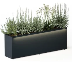 Herstera Metall-Pflanzkasten Cube LED, rechteckig, anthrazit